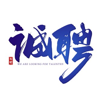 系统架构师